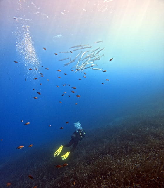 Scuba Diving in the Volcanic Caldera/shorelines of Santorini - Price and Value: Is It Worth It?