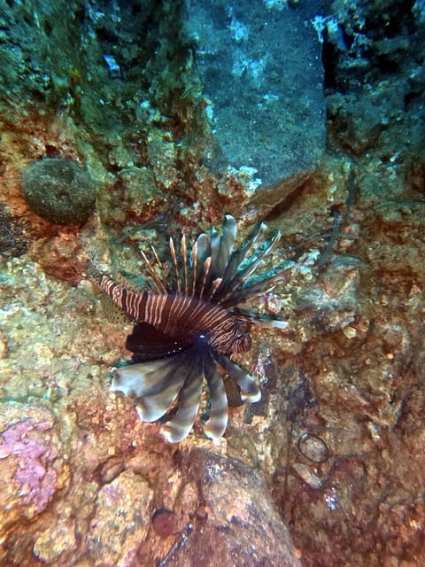 Scuba Diving in the Volcanic Caldera/shorelines of Santorini - Logistics and Practical Tips