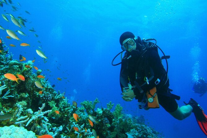 Scuba Diving to Dimaniyat Islands Muscat Oman - Meeting and Pickup