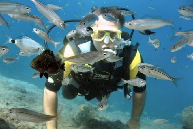 Scuba Diving Tour From Kusadasi / Selcuk - The Experience with Real People