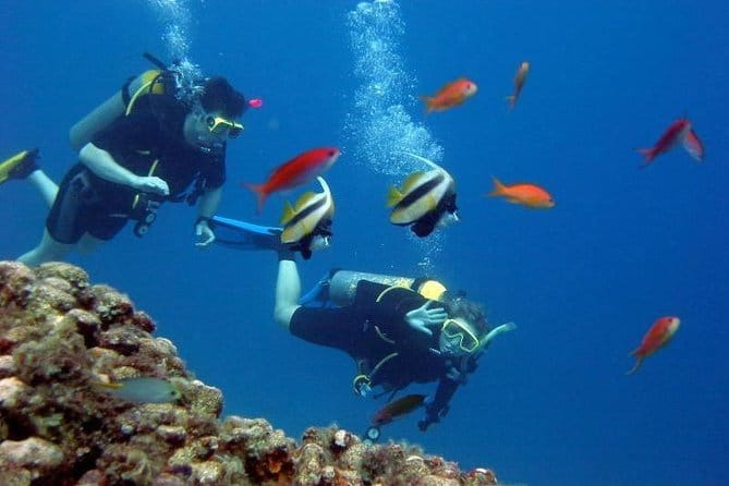 Scuba Diving Tour From Kusadasi / Selcuk - FAQ