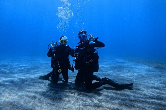 Scuba Experience in Tenerife with Guide - Engaging your curiosity about the underwater wonders of Tenerife?