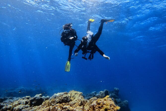 Scuba Experience in Tenerife with Guide - Why this Tenerife scuba experience is worth considering