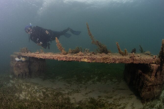 Scuba Tour for Certified Divers in San Juan - Safety Precautions