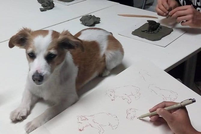 Sculpt to Florentine Pet - An In-Depth Look at the Experience