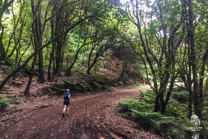 Sea 2 Mountain Running Tour (Moderate-Hard) - Who Should Consider This Tour?