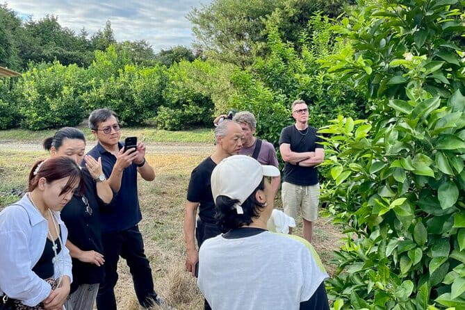 Sea and Ginjo Sake Adventure for Hiroshima Oyster Lovers - Takehara Townscape Conservation Area: Concluding the Tour