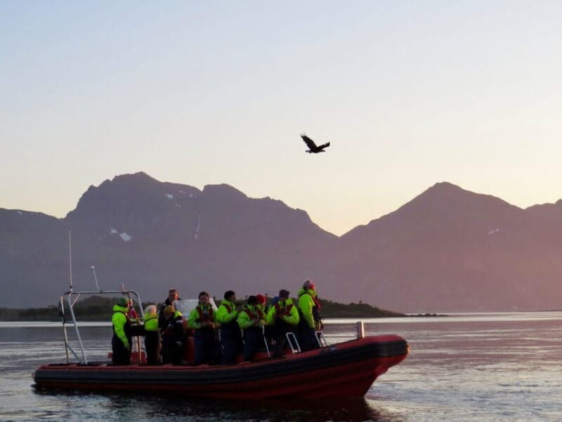 Sea Eagle/Nature Safari - Scenic Landscape and Mountain Views