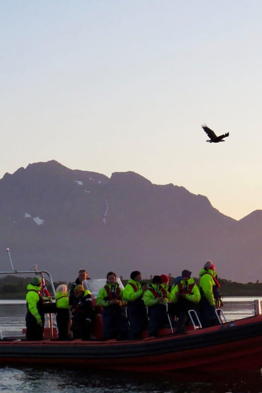 Sea Eagle/Nature Safari - Who This Tour Is Best For