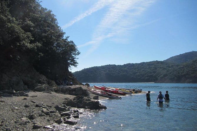 Sea Kayak Tour to the History of Tomonoura in the Seto Inland Sea - Customer Reviews and Ratings