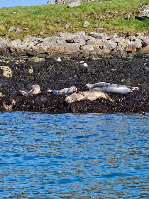 Sea kayaking Killiney beach to Dalkey Island with Pictures - Who Will Love This?