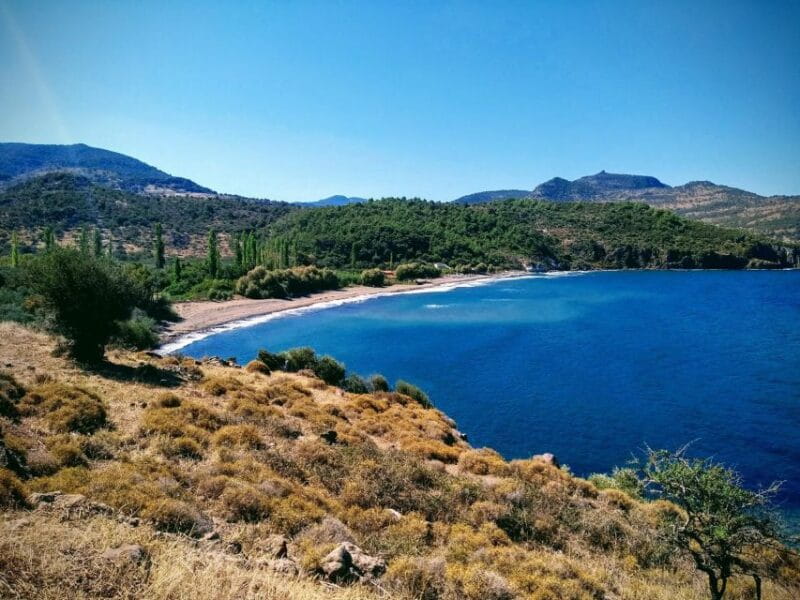Sea, Sun and Swimming Cruise from Mytilene - Starting with Ambelia Beach: A Calm, Sandy Sanctuary