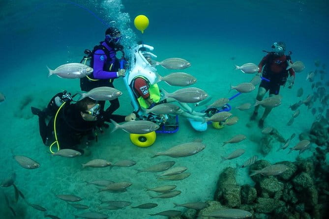 Sea Trek and Diving for handicaped people - Key Points and Takeaways