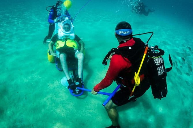 Sea Trek and Diving for handicaped people - Diving into the Experience: What You Can Expect from Start to Finish