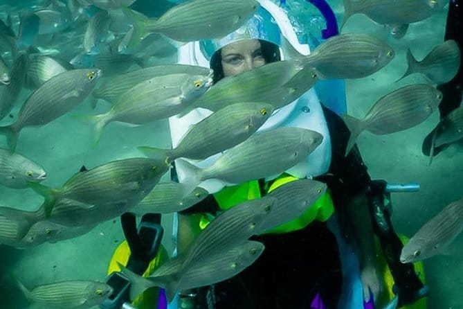 Sea Trek and Diving for handicaped people - Final Thoughts: Is It Worth It?