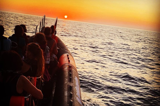 Sea Trips to Scandola, Girolata, and the Calanches De Piana - Inclusions and Logistics