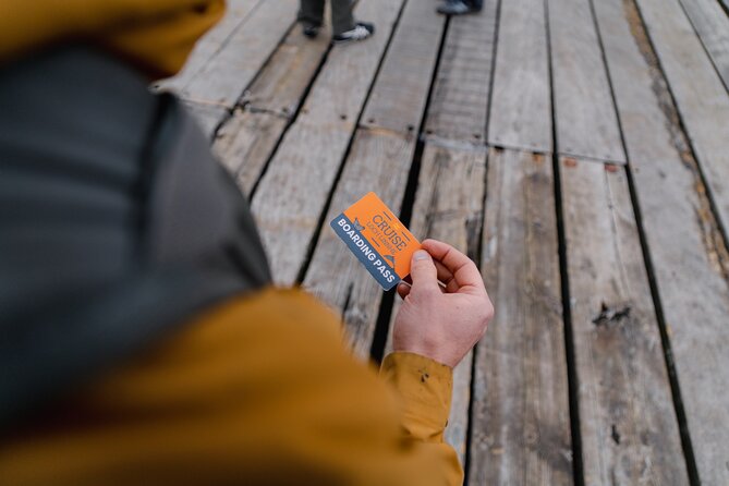 Seal Island Cruise Tour - Ideal for All Ages