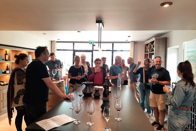 Sean's Wine Tasting Events - Key Points / Takeaways