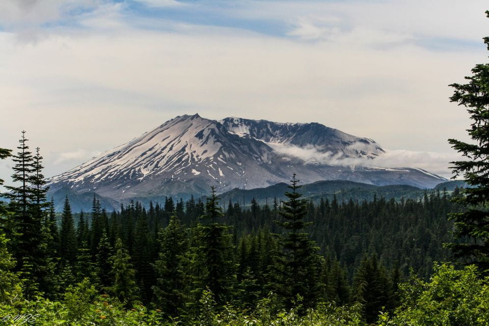 Seattle: Mt. St. Helens National Monument Small Group Tour - Admire the Scenic Viewpoint