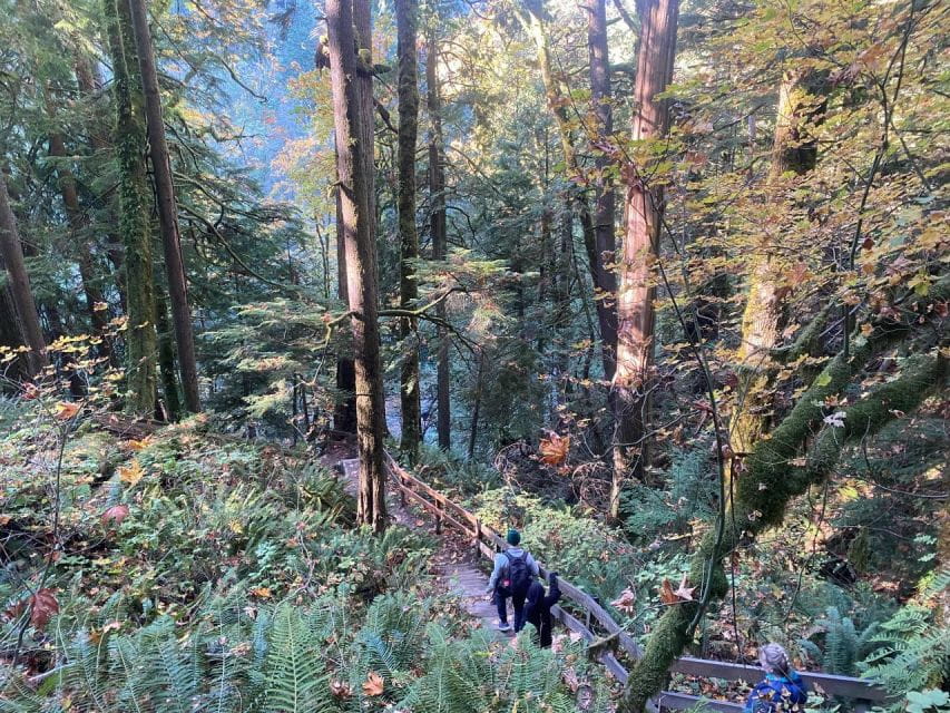 Seattle: Sensory Hike in Twin Fall for Adventurous Families - Inclusions and Exclusions