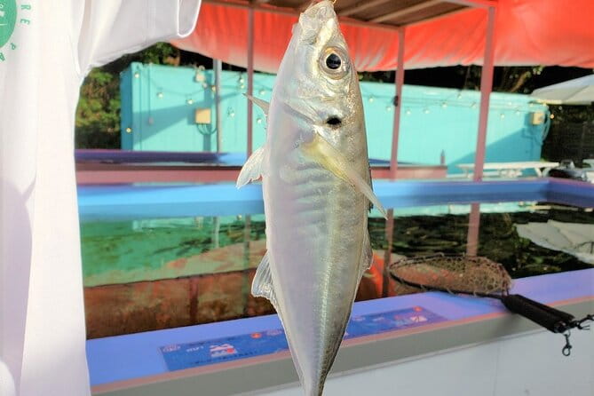 Seawater Fishing Pond and Hamayaki Grill BBQ Experience - Included Services