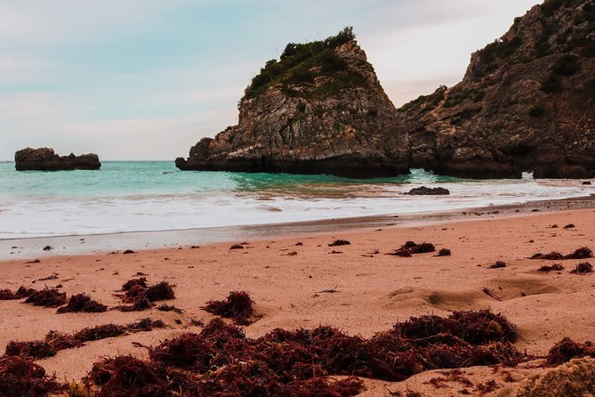 Secret Beaches of Arrábida and Caves - Schedule