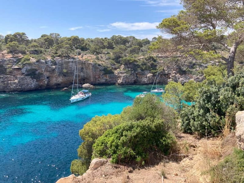 Secret Corners and Tastes of Mallorca by Private SUV Tour - FAQ