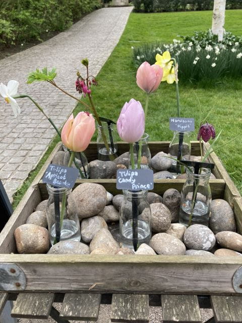 Secret Gardens of London Private Tour - Final Thoughts