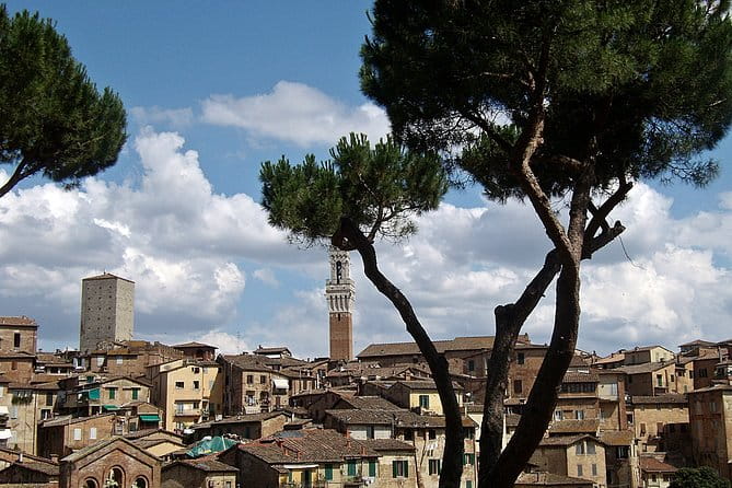 Secret Siena Walking Tour - Key Points