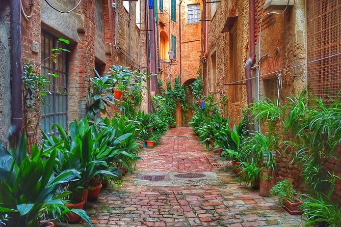 Secret Siena Walking Tour - Value and Practicality
