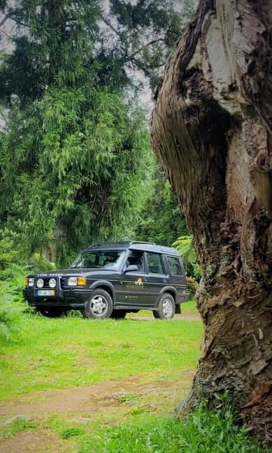 Secret Sunrises- An adventure to Madeiras Hidden Dawn Views - Returning to Funchal: Reflecting on a Unique Morning
