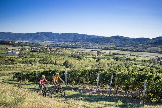 Secret vineyards E-bike tour - Exploring the Vipava Valley on Two Wheels