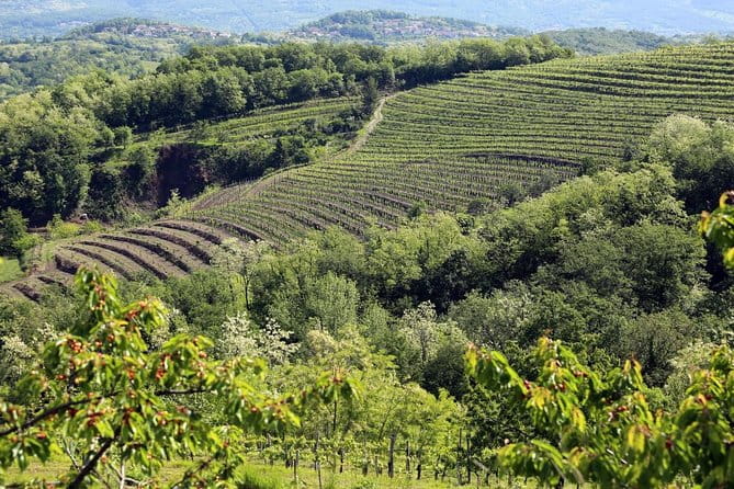 Secret vineyards E-bike tour - The Sum Up