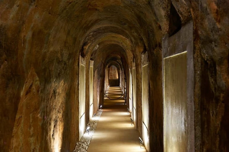 Secrets of Dorado Wine - Price and Logistics: Analyzing the Value