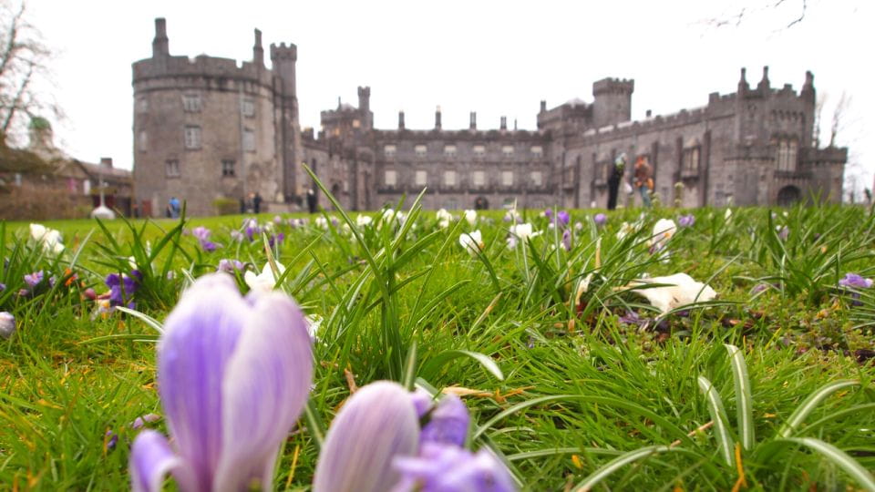 Secrets of Kilkenny, Self-Guided Interactive Discovery Game - Self-Guided Exploration