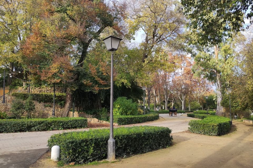 Secrets of Maria Luisa Park and Plaza De Espana - Tour Inclusions