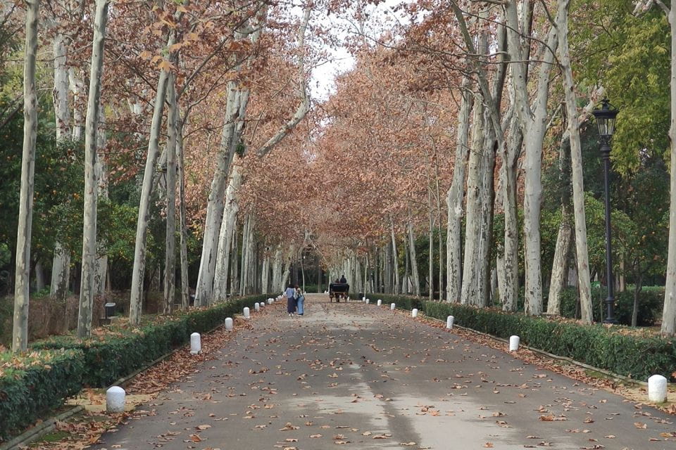 Secrets of Maria Luisa Park and Plaza De Espana - Starting Locations and Stops