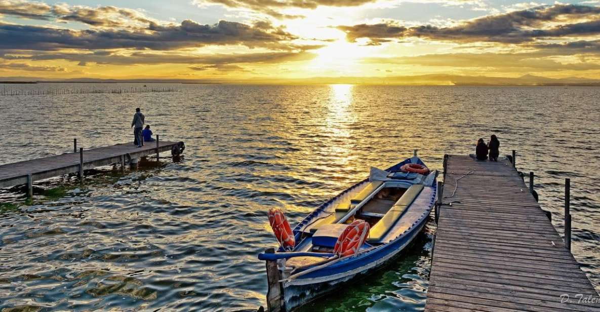 See Albufera Lake +City of Arts and Sciences on a Bike Tour - Guided Experience Details