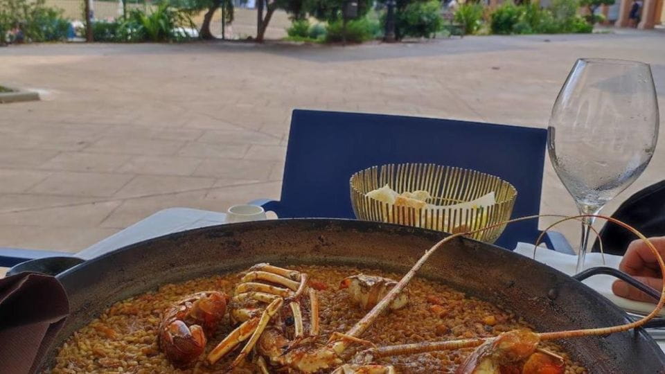 See Albufera Lake +City of Arts and Sciences on a Bike Tour - Things To Know