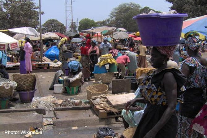 See It All – Safari Tour - Sacred Crocodile Pool