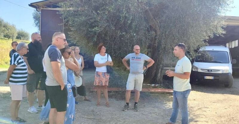 Seggiano: Typical Tuscan Farm Tour with Olive Oil Tasting - Key points / Takeaways