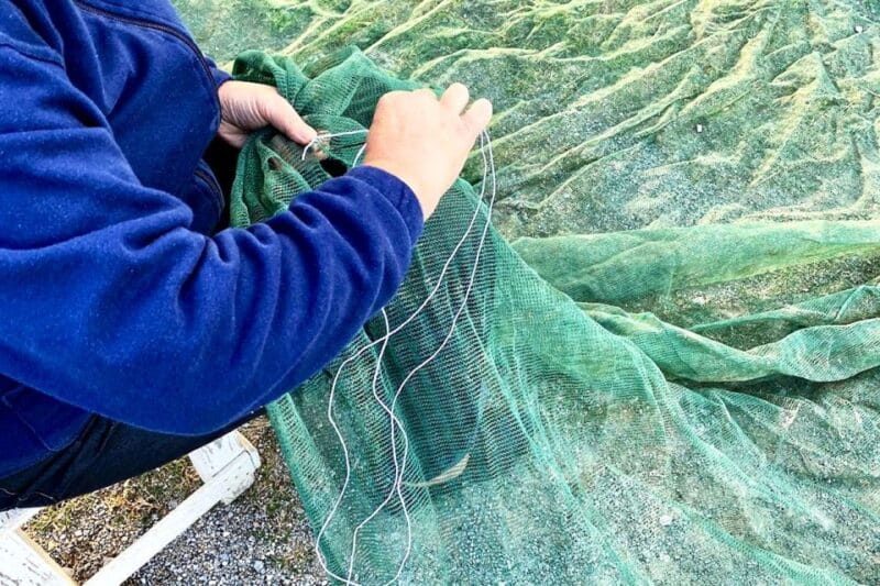 Seggiano: Typical Tuscan Farm Tour with Olive Oil Tasting - The Heart of Tuscan Agriculture: Guided Tour at Olio Abbraccio