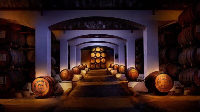 Segovia: DYC Distillery guided visit with whiskey tasting - Key Points and Takeaways