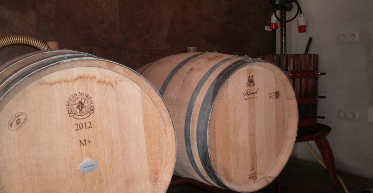 Segovia: Winery Tour With Wine Tasting - Key Points