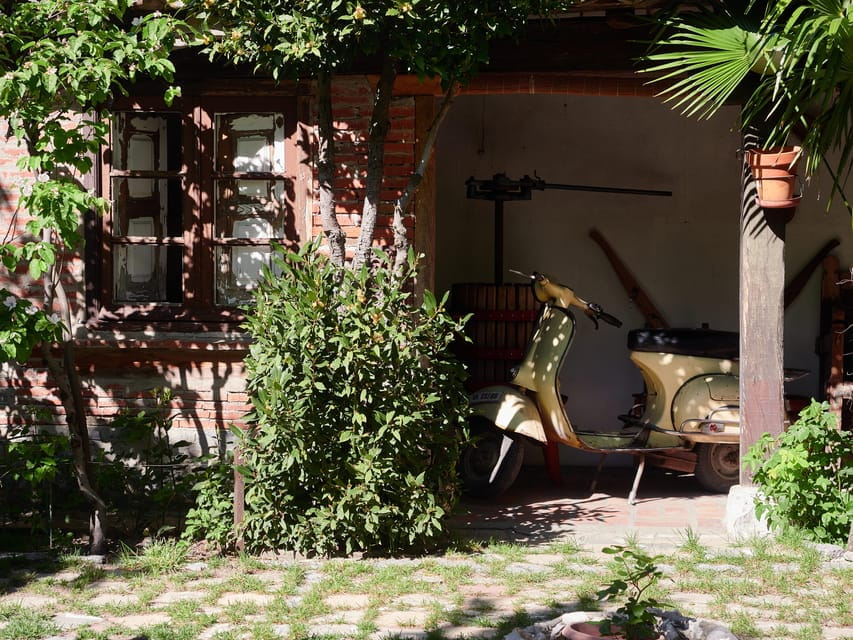 Segovia: Winery Tour With Wine Tasting - Experience Highlights