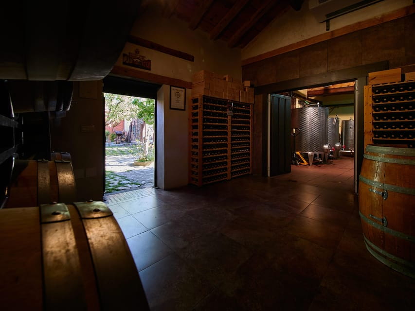 Segovia: Winery Tour With Wine Tasting - Accessibility Features