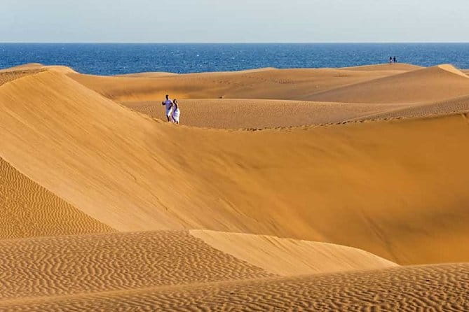 Segway Experience 1 hour Sightseeing Tour : Visit Maspalomas Dunes, Playa Ingles - Is It Worth the Price?