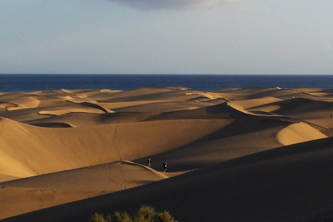 Segway Experience 1 hour Sightseeing Tour : Visit Maspalomas Dunes, Playa Ingles - Final Thoughts: Who Should Book This?