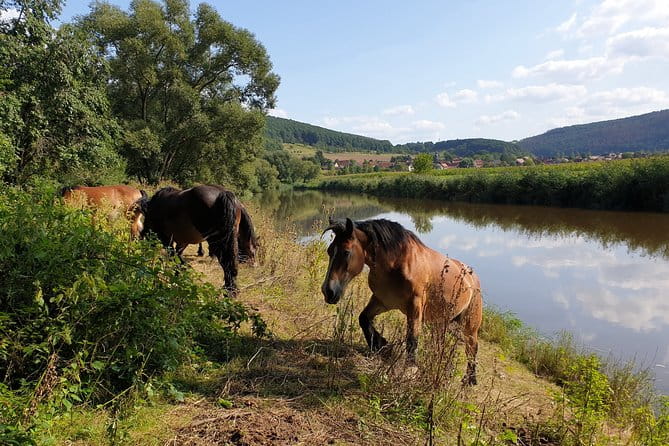Segway tour around the Werra horseshoe - Discovering the Stops: What Makes Each Part Special