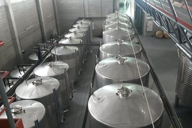 Selection Tasting | Quinta de Santa Cristina Vinho Verde - The Vineyards and Winemaking Process: A Closer Look